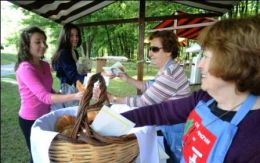 tipress sss120611 58 piccola