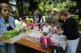 tipress sss120611 71 piccola