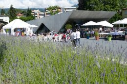 Massagno spettacolo 3