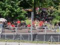pg02 dsc9822