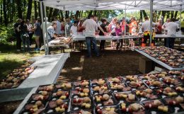 Copia di sa035 copia