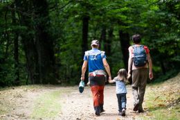 scollinandolamone ok