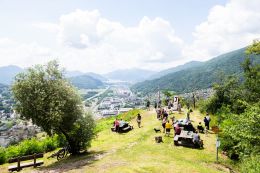 scollinandolamone ok